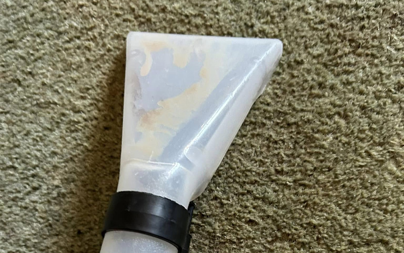 Clean Slate Cleaning intense carpet clean